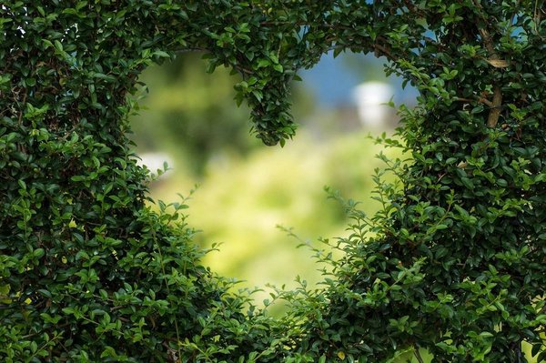 Comment organiser une escapade romantique inoubliable en Dordogne ?