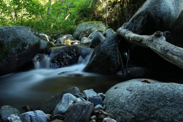 L'expérience du camping 4 étoiles des Cévennes